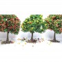 Diorama - 3 fruit trees - 6 cm