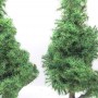 Diorama - 2 Trees "Pin Sylvestre" - 12 cm