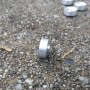 Aluminum rims with insert in White Metal - ech. 1:43 - Ø9.50 mm